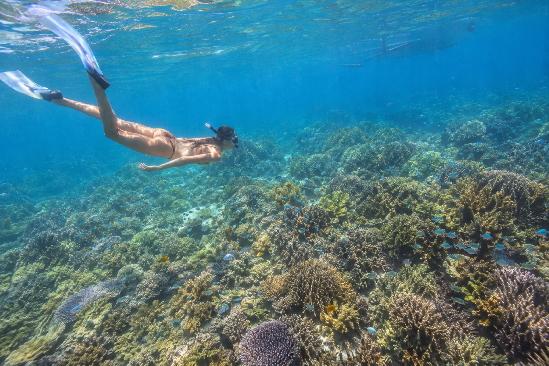 Sous la surface de Gili Petelu — Pink Beach & les îlots du sud-est
